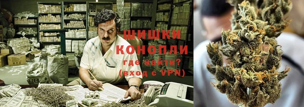 дмт Абаза