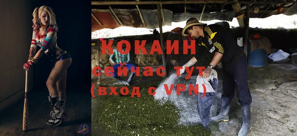 дмт Абаза