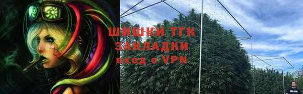 дмт Абаза