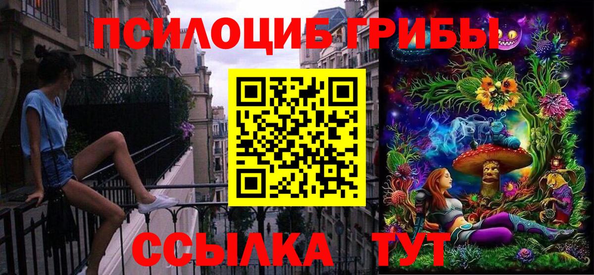 Галлюциногенные грибы Cubensis  Псилоцибиновые грибы мицелий  Вход с VPN  Абакан 